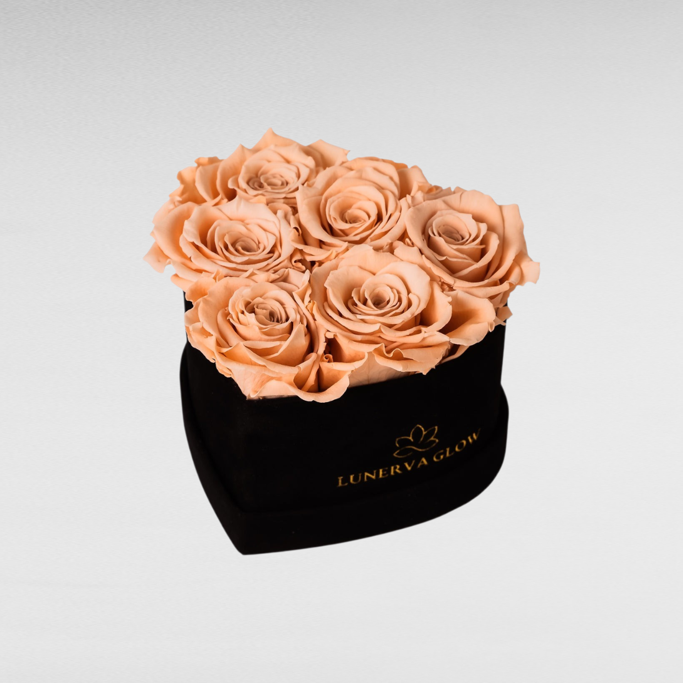Black Velvet Heartbox |Red|S