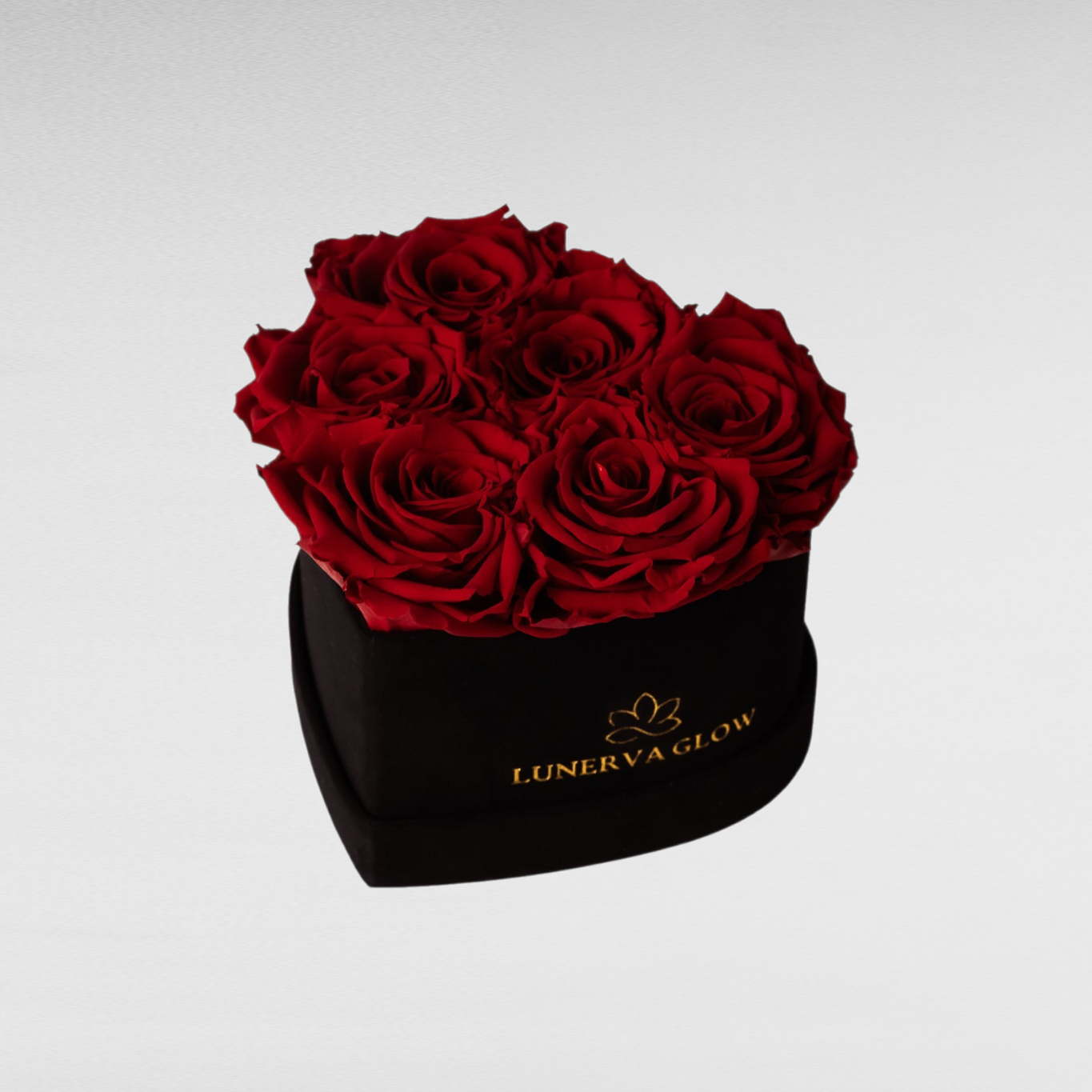 Black Velvet Heartbox |Bridal Pink|S