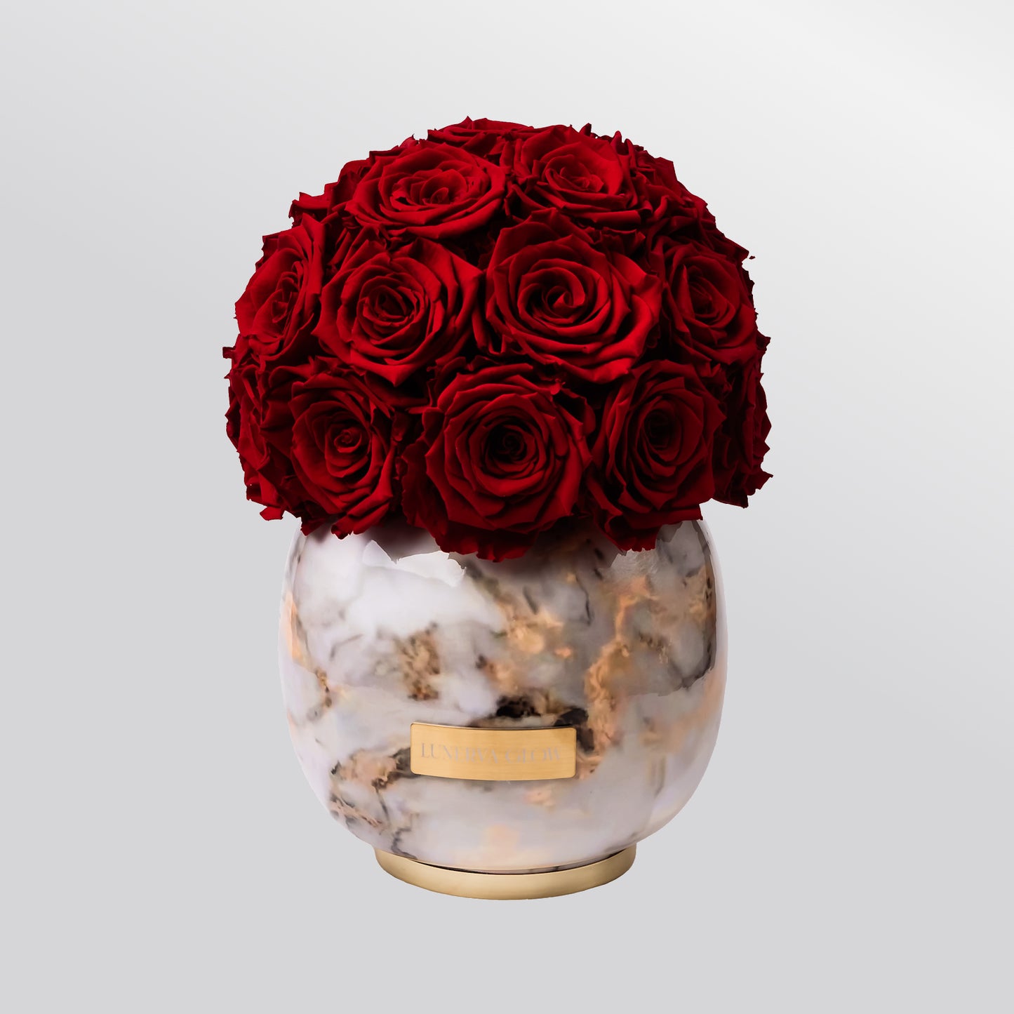 Rote ewige Rosen in der Vase als Decoration Arrangiert | Lunerva Glow