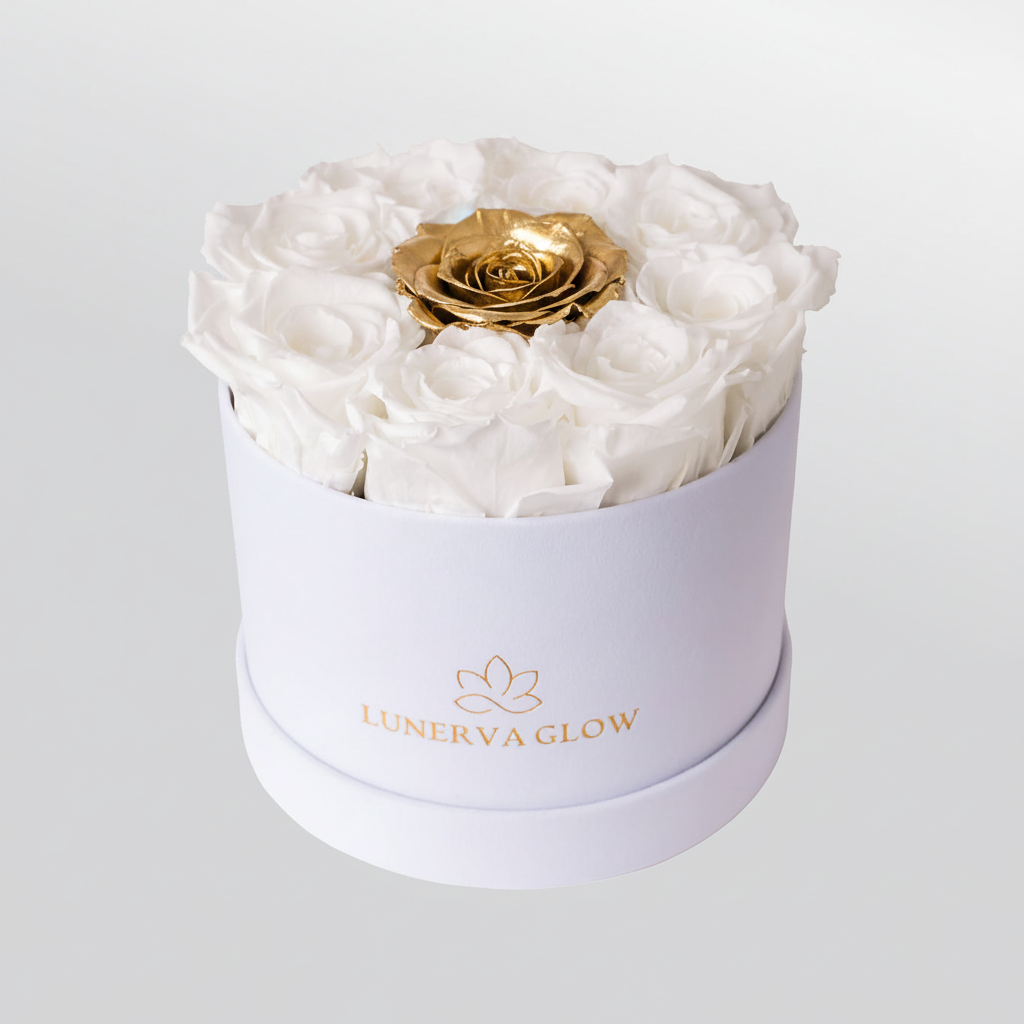 Black Velvet Round Flowerbox Mix