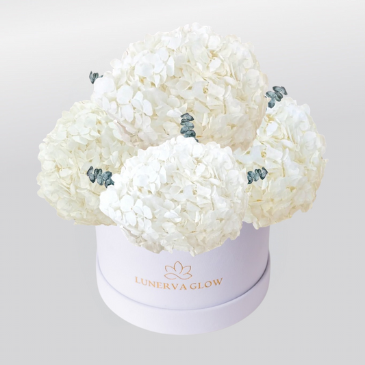 White Velvet Hydrangea Flowerbox