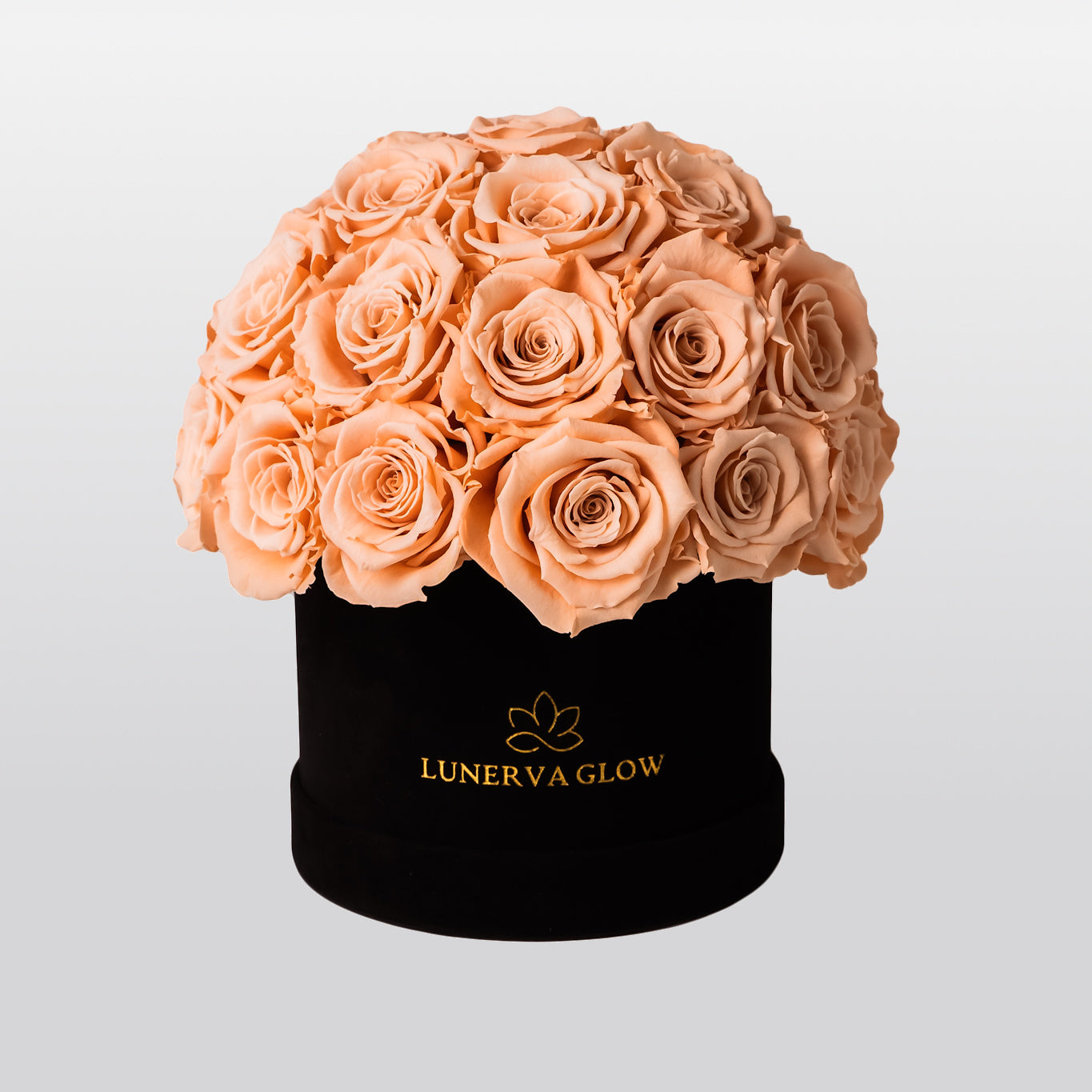 Black Velvet Mushroom |Bridal Pink|S