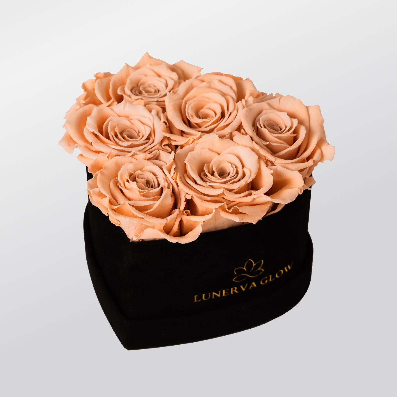 Black Velvet Heartbox |Bridal Pink|S