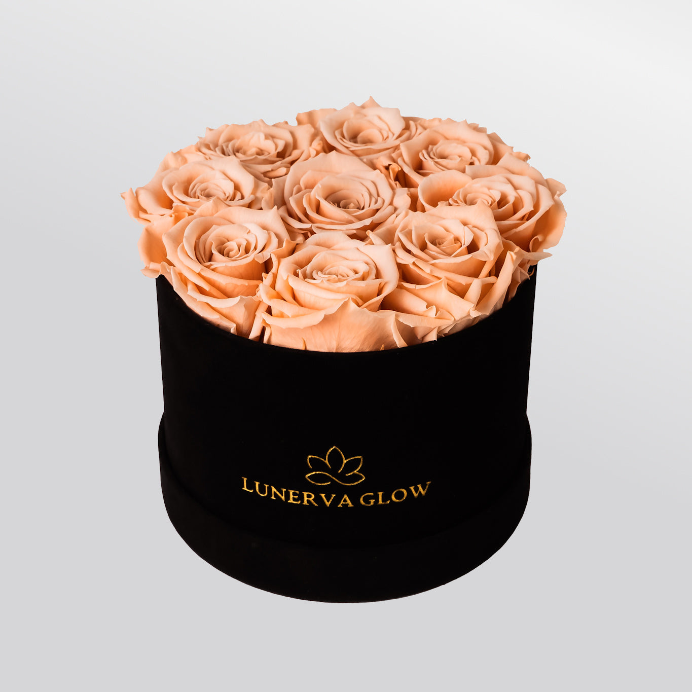 White Velvet Round Infinity -Flowerbox |Beige|S