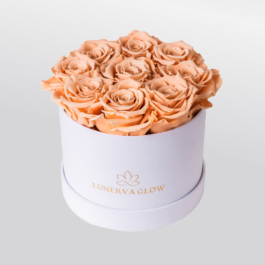 White Velvet Round Infinity -Flowerbox |Beige|S