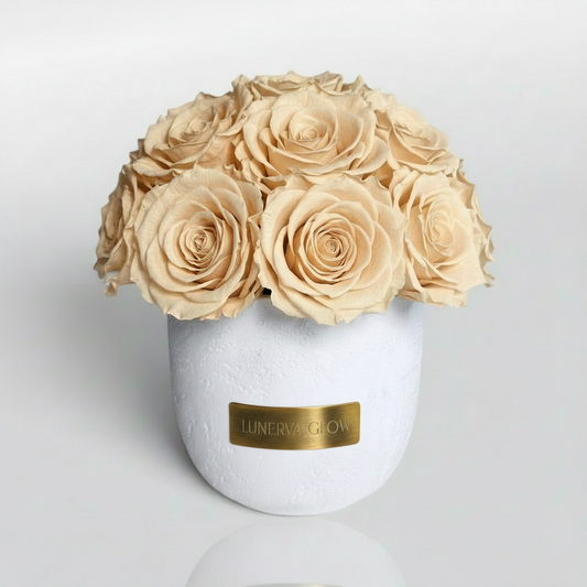 White Solid Vase S | Nude