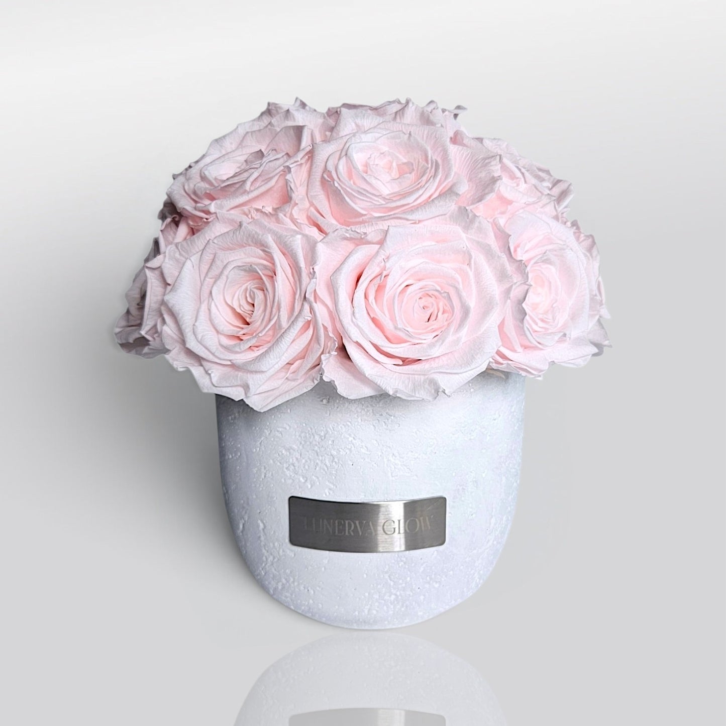 Minimalistische betonvase in Weiß mit Bridalpink konservierten Rosen.  Dekoration oder als Geschenk | Lunerva Glow 