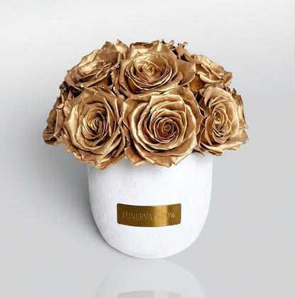 Weisse elegante Betonvase mit echten natürlichen konservierten goldenen Rosen | LUNERVA GLOW 