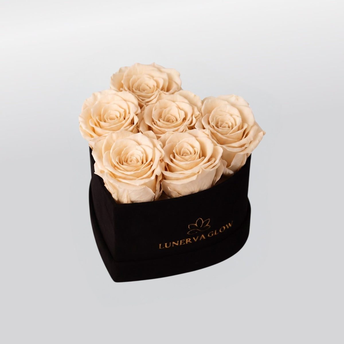 Black Velvet Heartbox |Peach|S