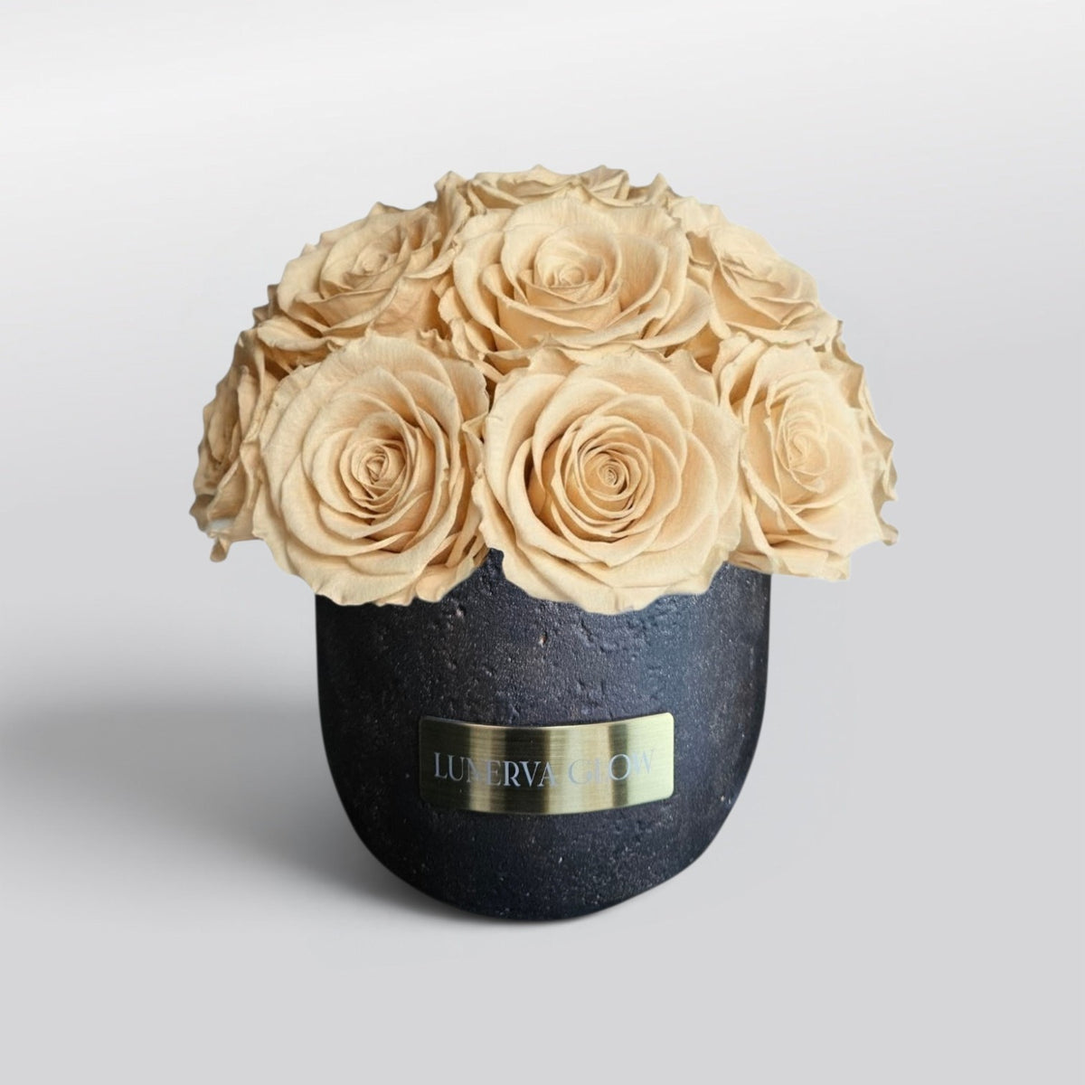 Black Solid Vase S | Royal Red