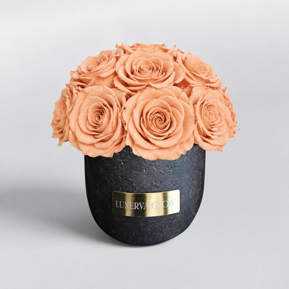 Black Solid Vase S | Royal Red