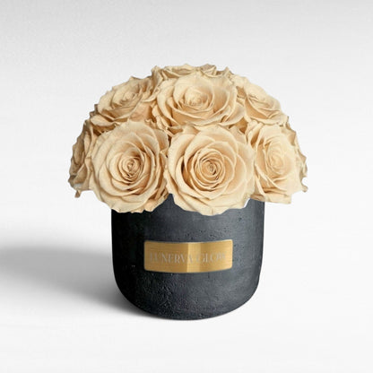 Black Solid Beton Vase XS|Nude