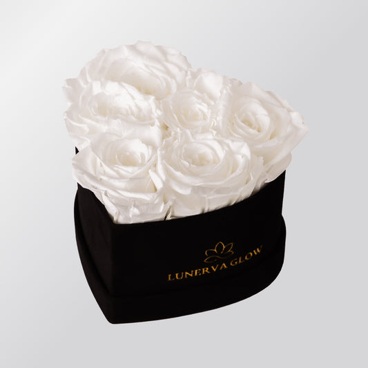 Schwarze Blumenbox mit weiße konservierten Rosen | LUNERVA GLOW 