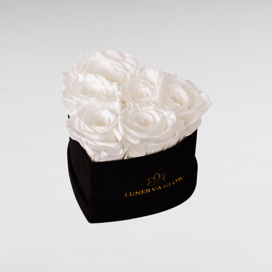 Black Velvet Heartbox |White|S