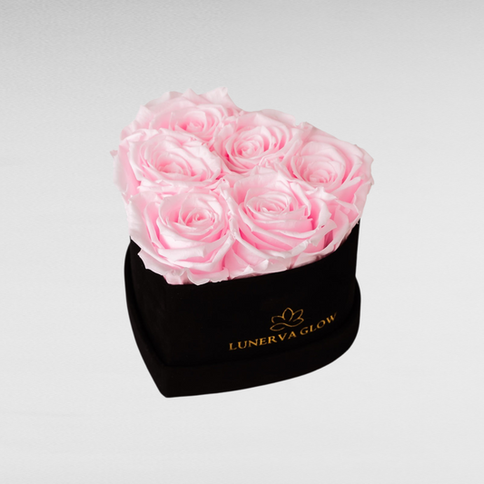 Black Velvet Heartbox |Bridal Pink|S