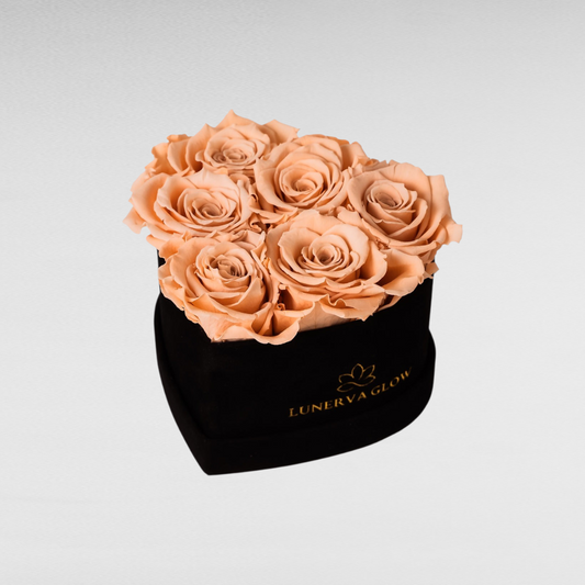 Black Velvet Heartbox |Peach|S