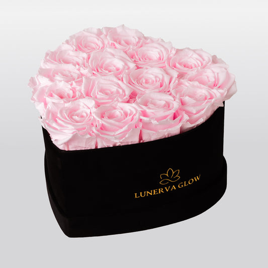 Black Velvet Heart Infinity -  Flowerbox |Bridal Pink| M