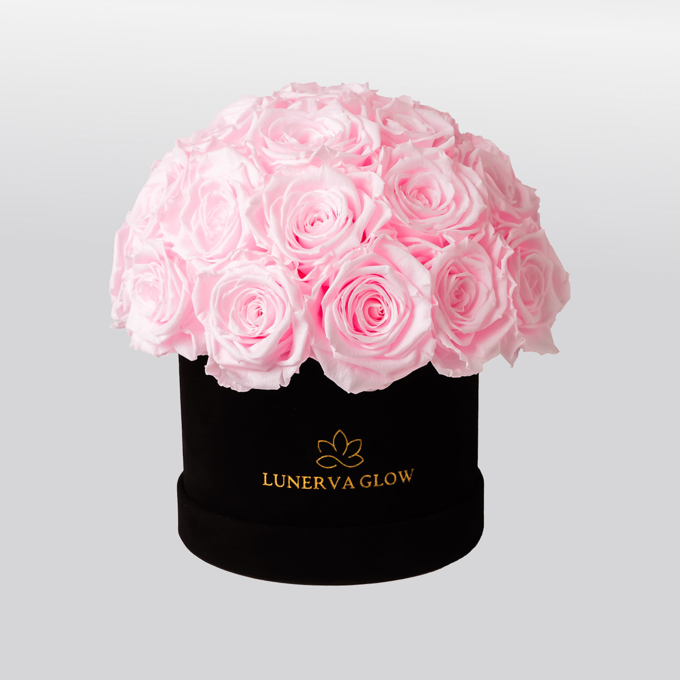 Black Velvet Mushroom |White|S