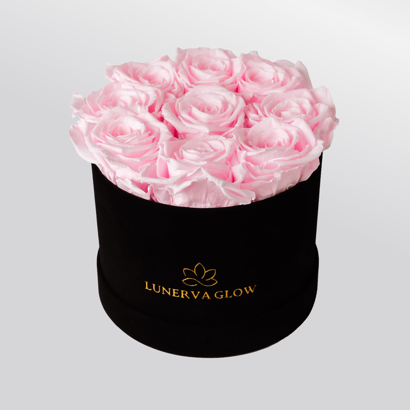 Black Velvet Flowerbox |White|S