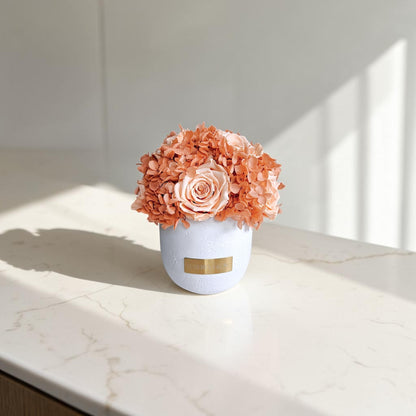 Solid Vase Hydrangea Mix | Peach