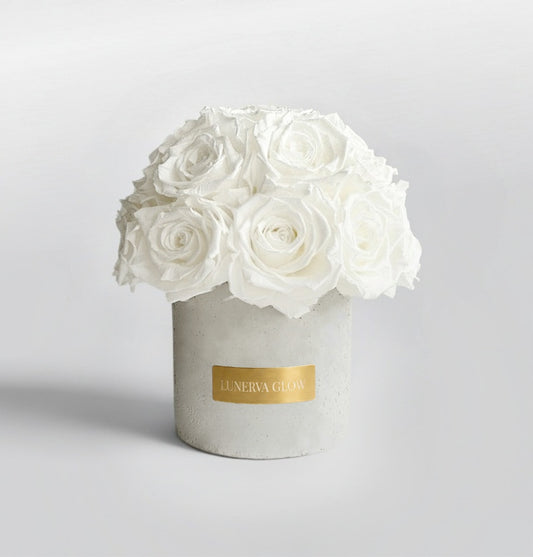 Gray Solid Beton Vase XS| White