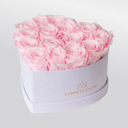 White Velvet Heartbox |Peach|M