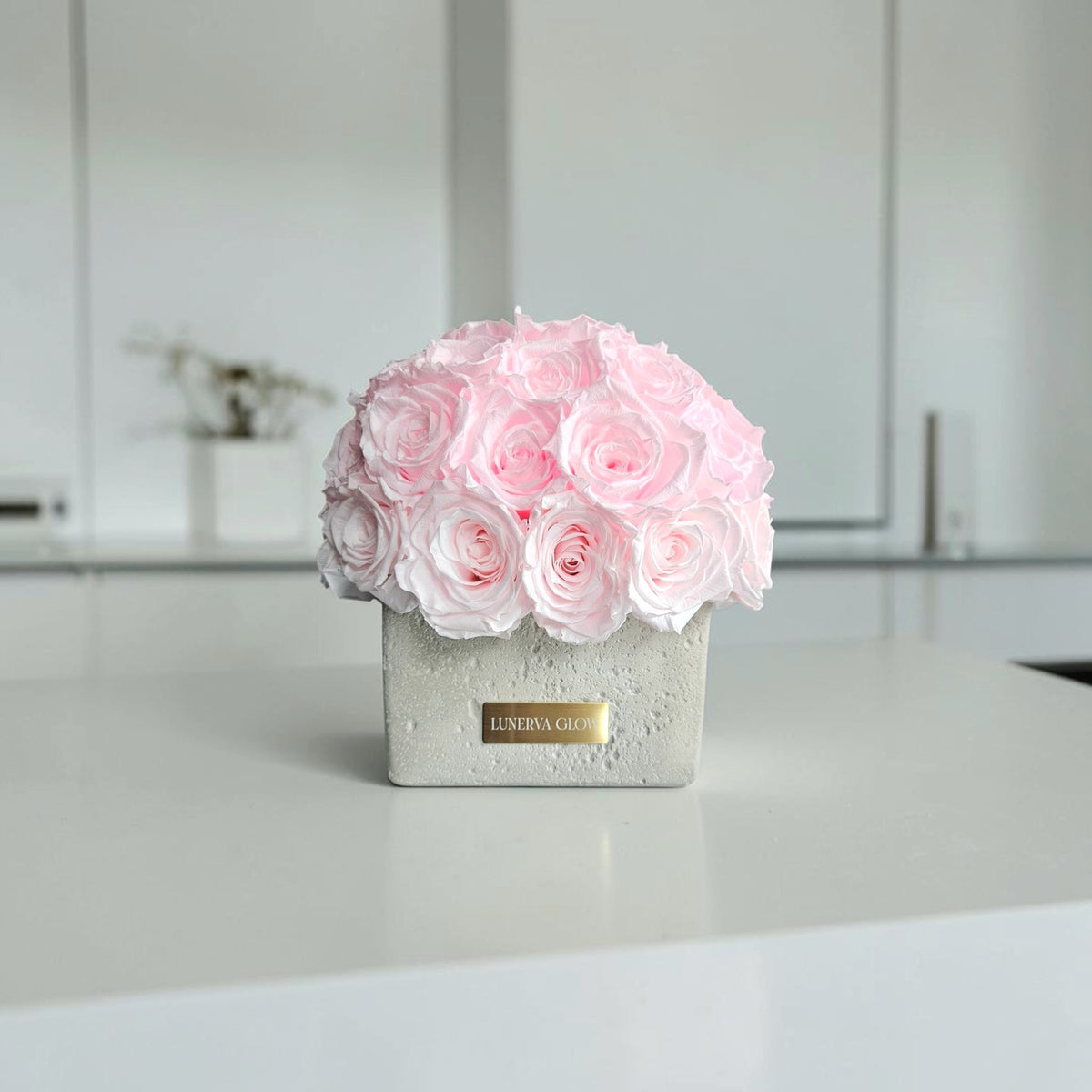 Beton Oval Vase XS|Bridalpink