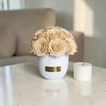 White Solid Vase S | Nude