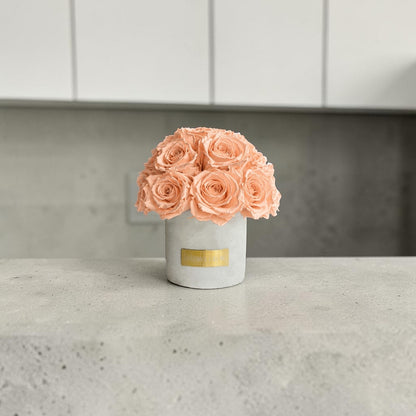 Gray Solid Beton Vase XS|Peach