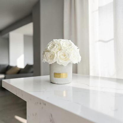 Gray Solid Beton Vase XS| White