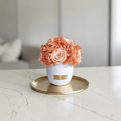 Solid Vase Hydrangea Mix | Peach