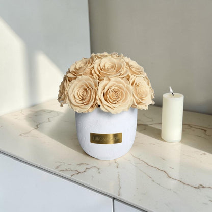 White Solid Vase S | Nude