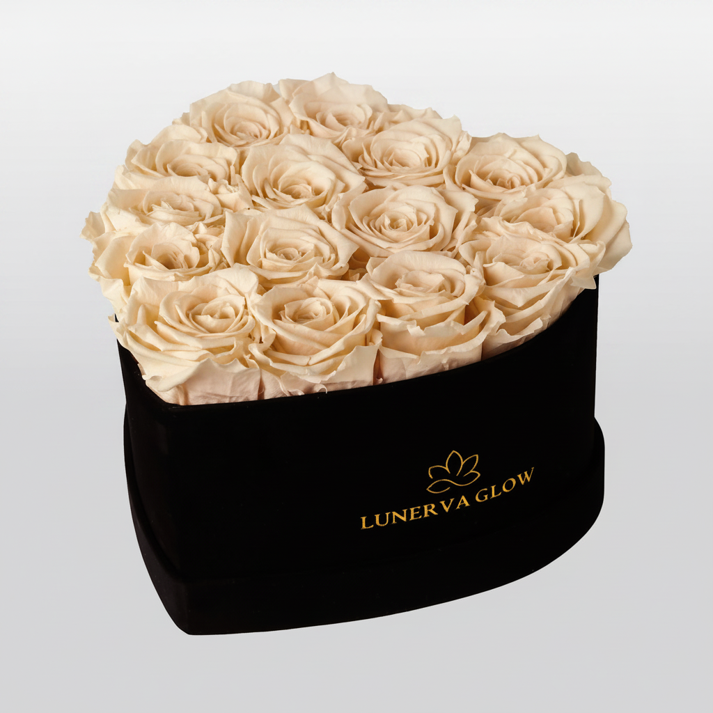 Black Velvet Heartbox |Nude|M