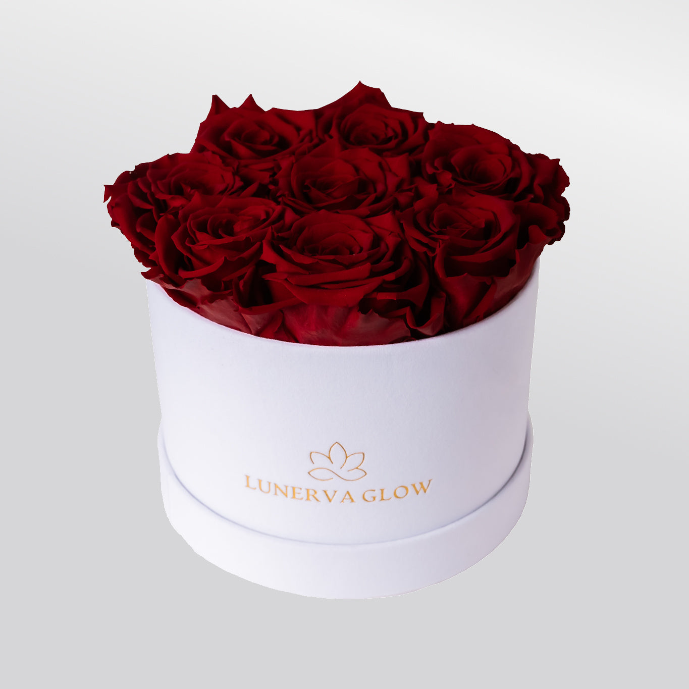 White Velvet Flowerbox |Bridalpink|S