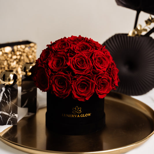 Black Velvet Mushroom |Red|S