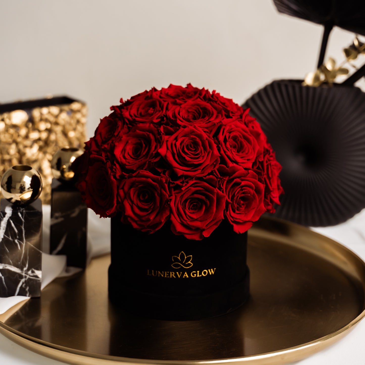 Black Velvet Mushroom |Red|S