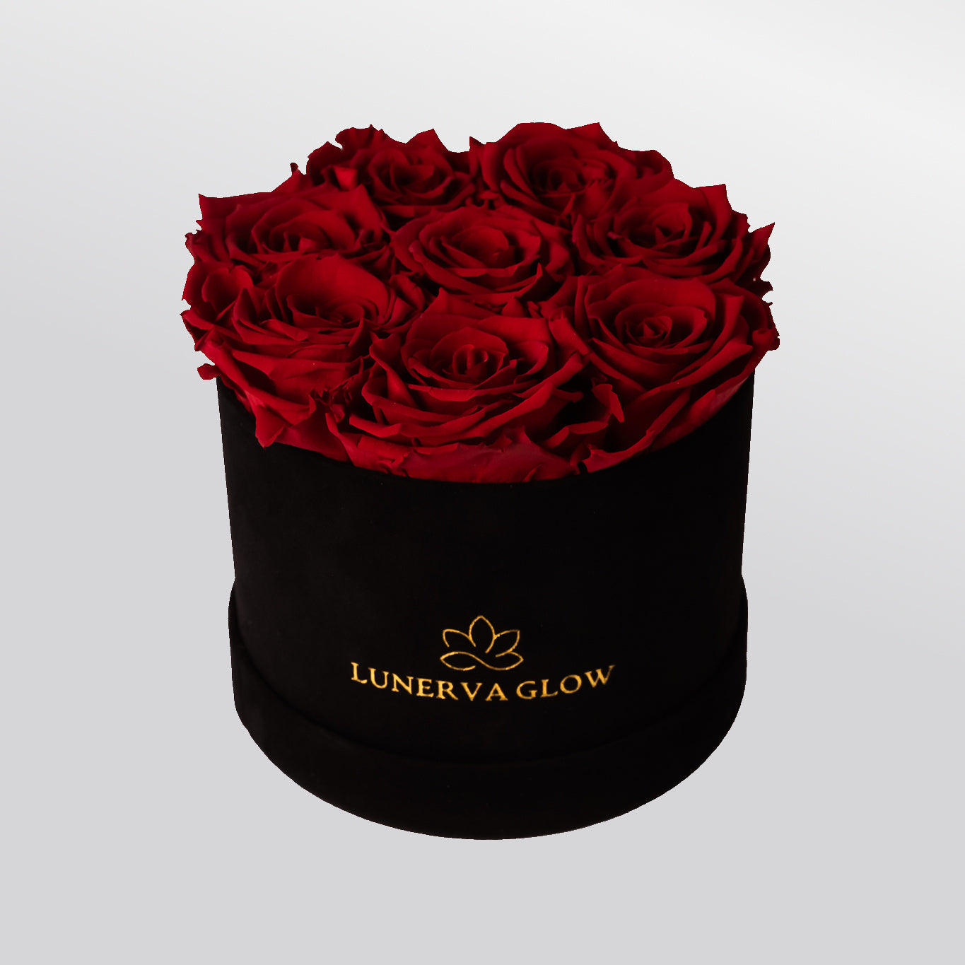 Runde Samtbox mit infinity Rosen in Rot | LUNERVA GLOW 