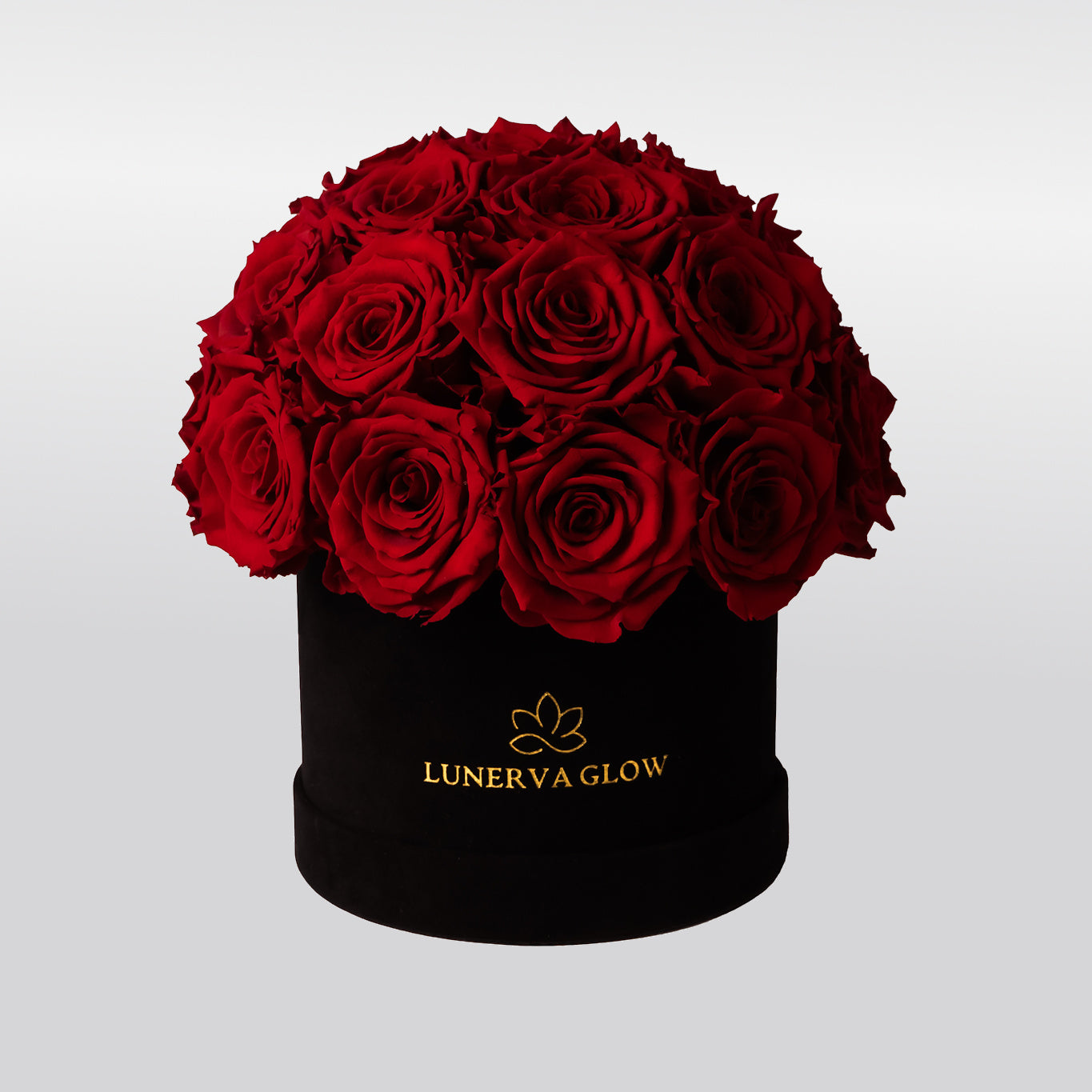 Infinity Flowerbox aus Samt mit Rote Rosen in Pilzform |LUNERVA GLOW 