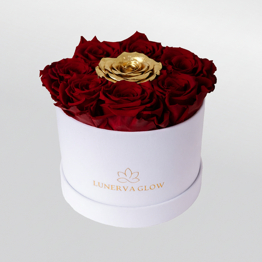 White Velvet Round Flowerbox Mix