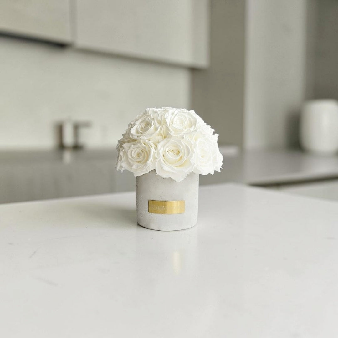 Gray Solid Beton Vase XS| White
