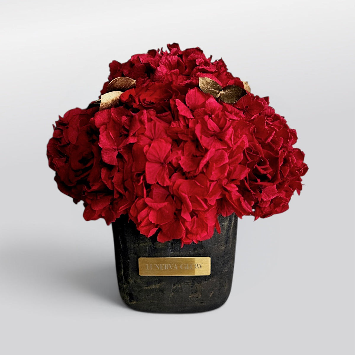 Square Hydrangea Mix S|Champagner