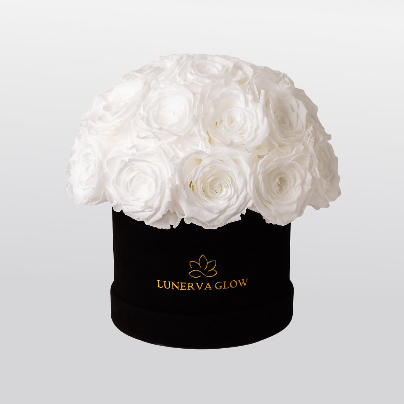 Black Velvet Mushroom |Bridal Pink|S