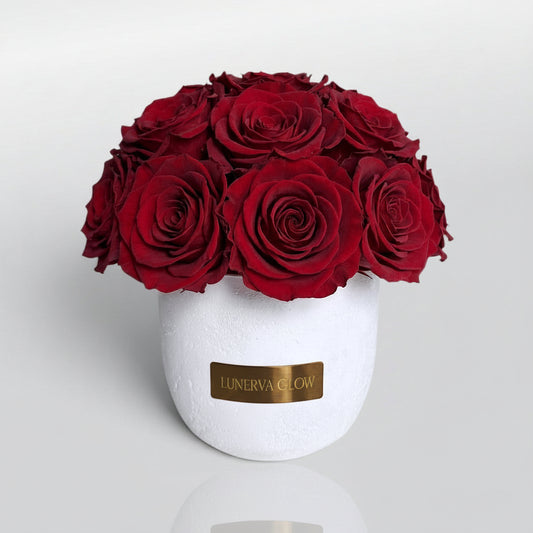 Rote Infinity Rosen in einer weissen Betonvase arrangiert.  Elegante minimalistische Dekoration | Lunerva Glow 