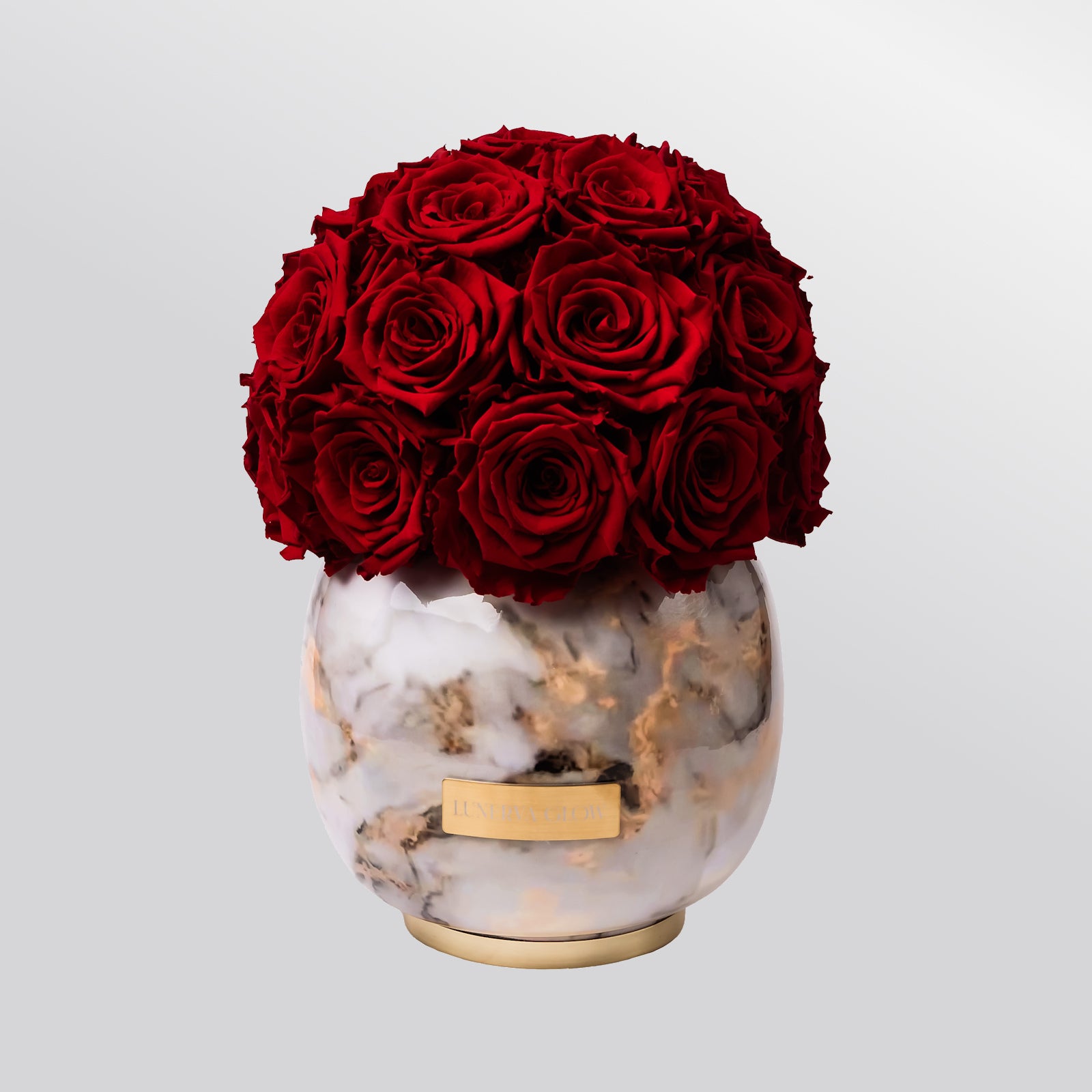 Rote ewige Rosen in der Vase als Decoration Arrangiert | Lunerva Glow