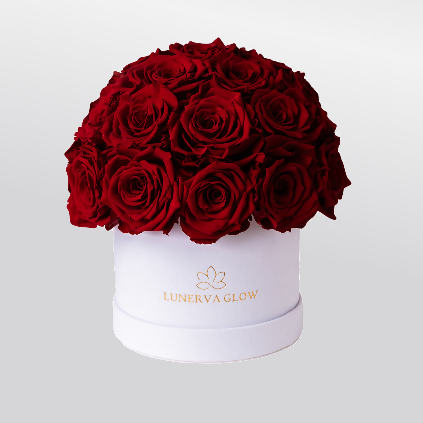 White Mushroom | Bridalpink