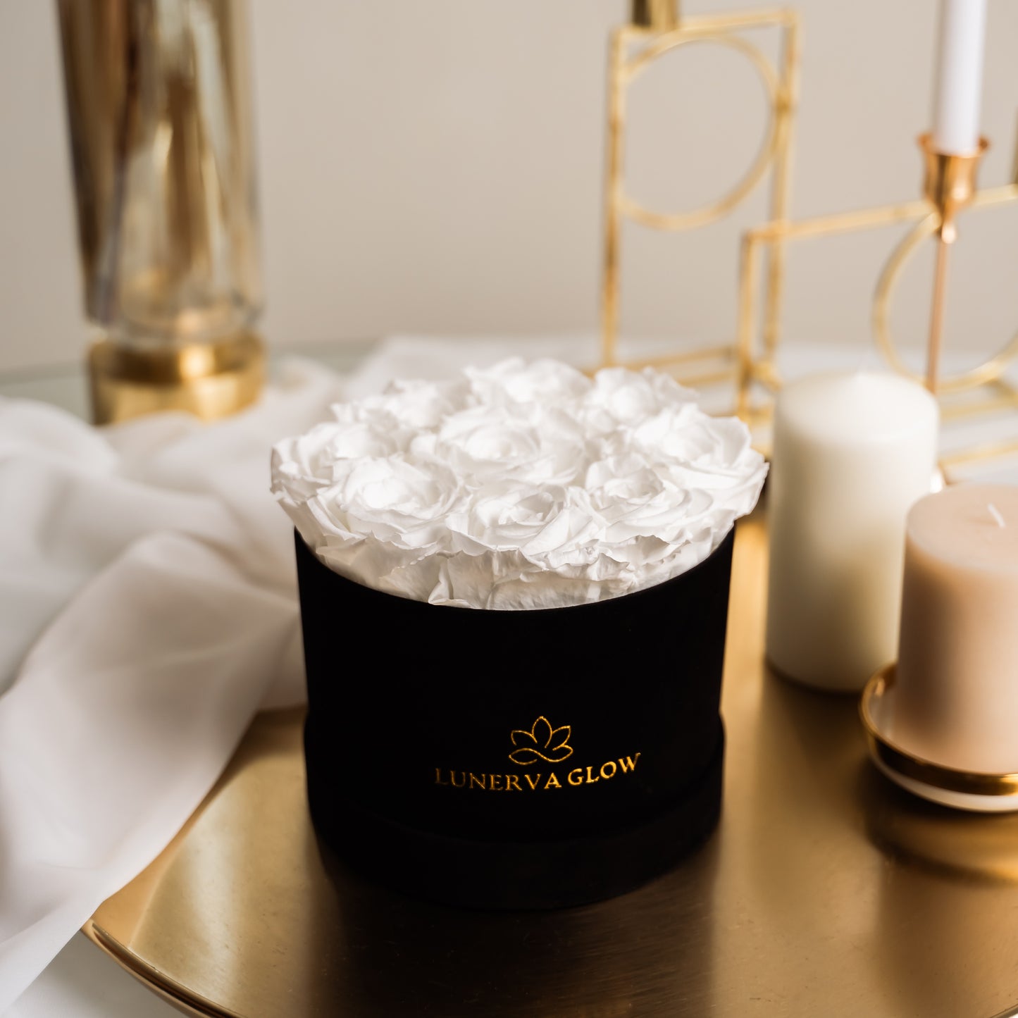 Black Velvet Flowerbox |White|S