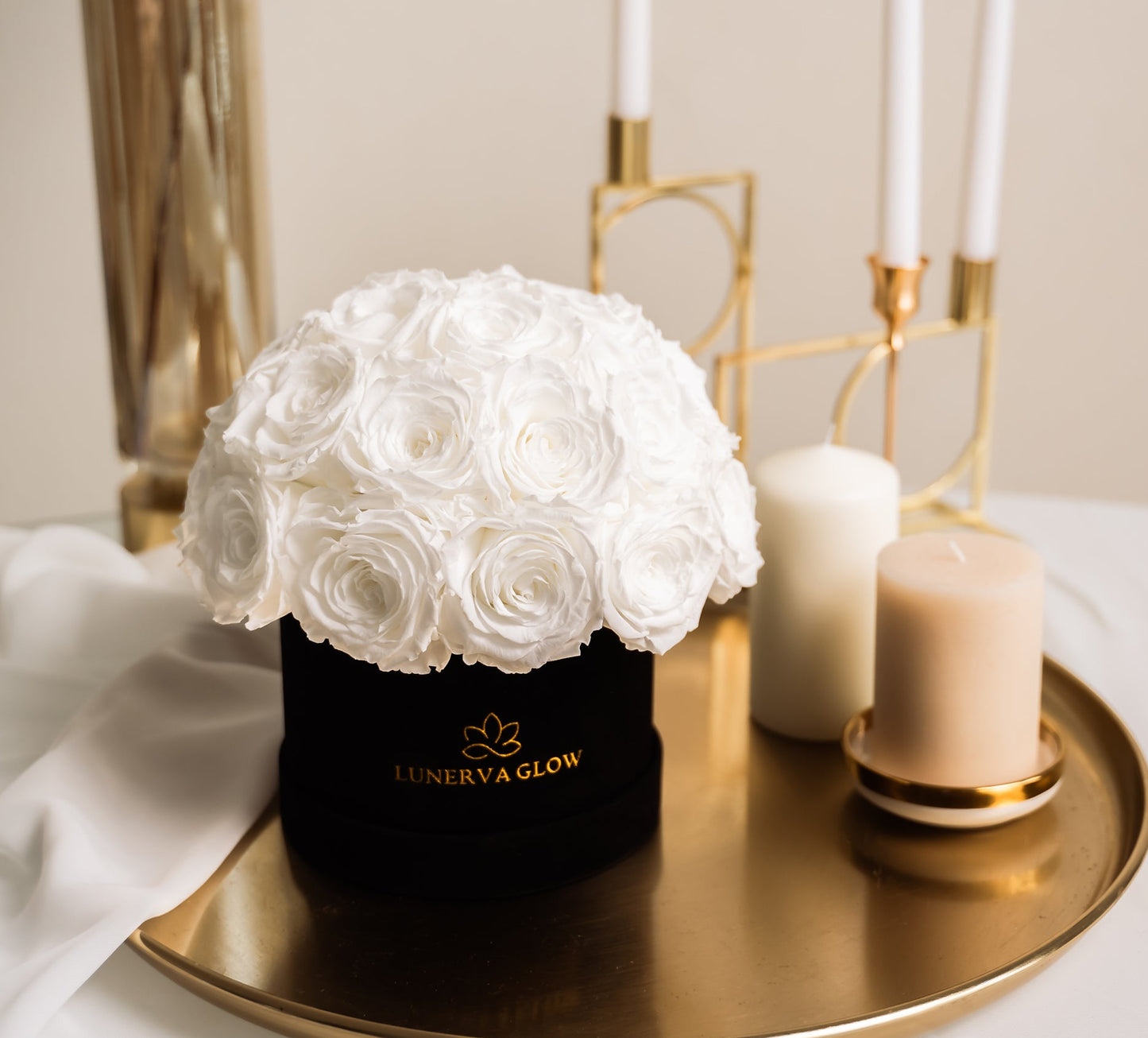 Black Velvet Mushroom |White|S