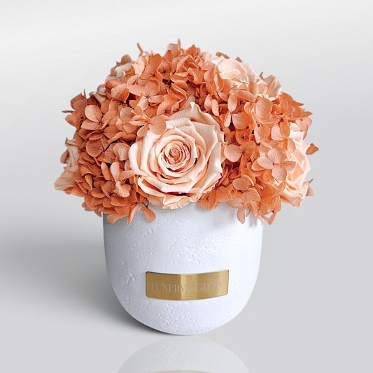 Solid Vase Hydrangea Mix | Peach