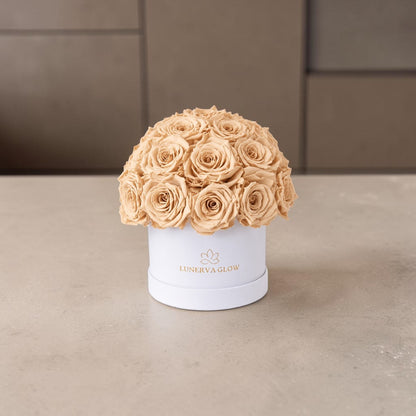 White Velvet Mushroom |Nude