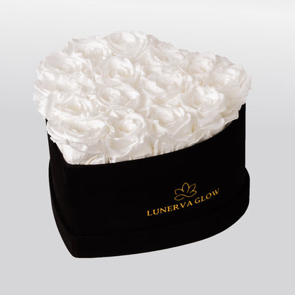 Black Velvet Heartbox |Red|M
